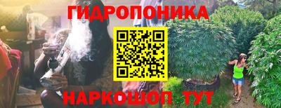 соль ск Лесосибирск