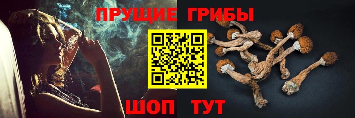 Галлюциногенные грибы прущие грибы  Вход с VPN  Псилоцибиновые грибы Cubensis  Щёлково 