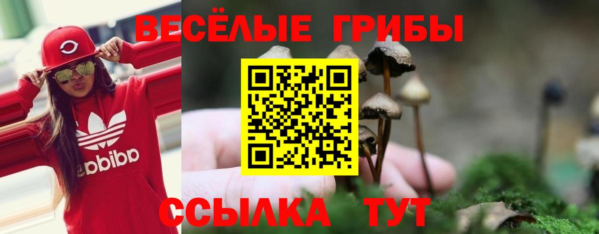 Псилоцибиновые грибы мицелий Щёлково